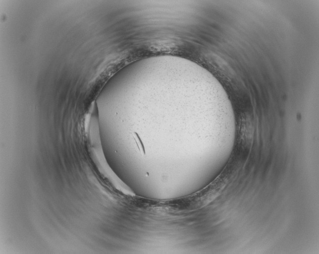 X0000088580408200706151716