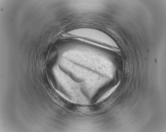 X0000088580409200706151716