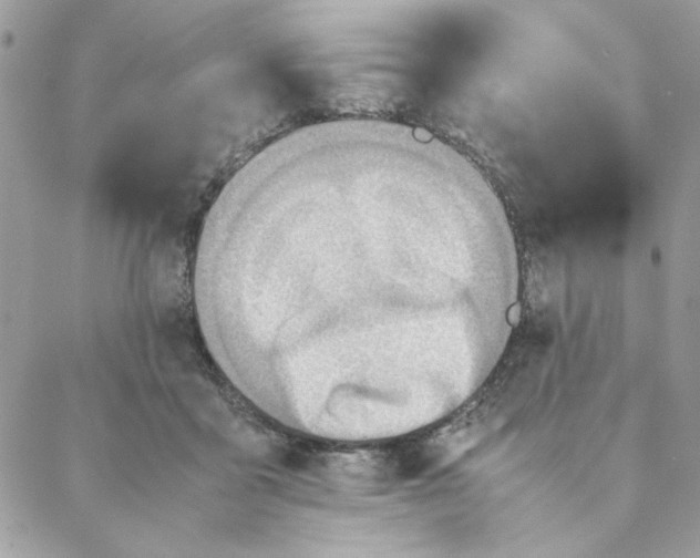 X0000088580411200706151716