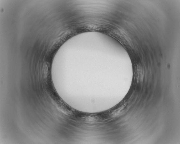 X0000088580412200706151716