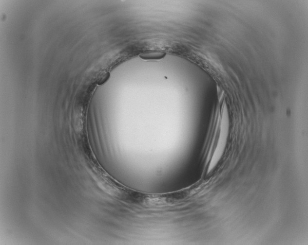 X0000088580413200706151716