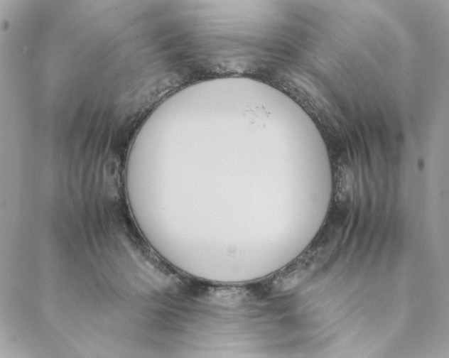 X0000088580414200706151716