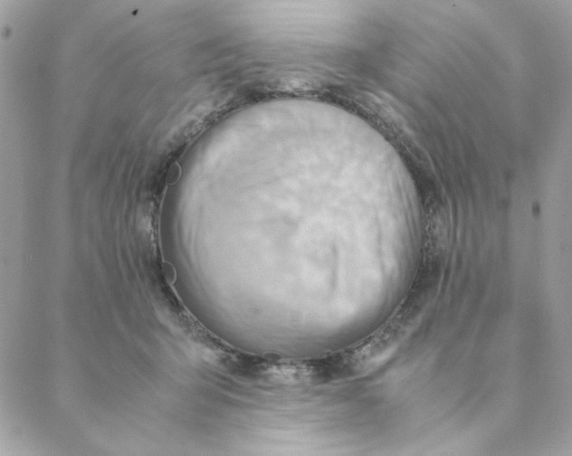 X0000088580415200706151716