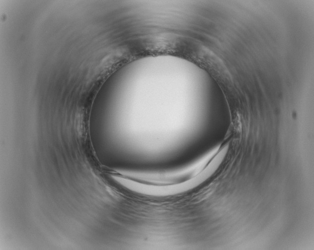 X0000088580416200706151716