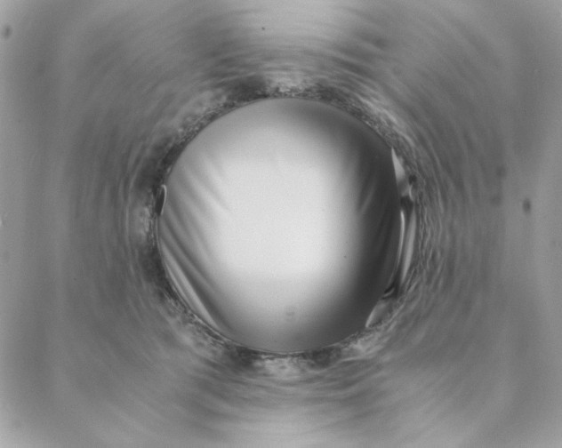 X0000088580417200706151716