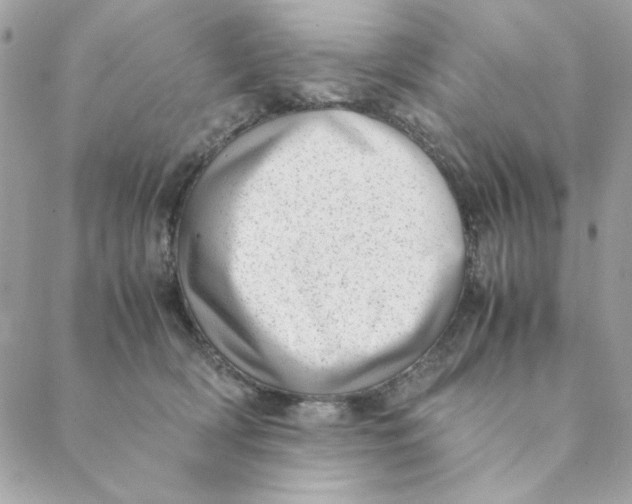 X0000088580418200706151716