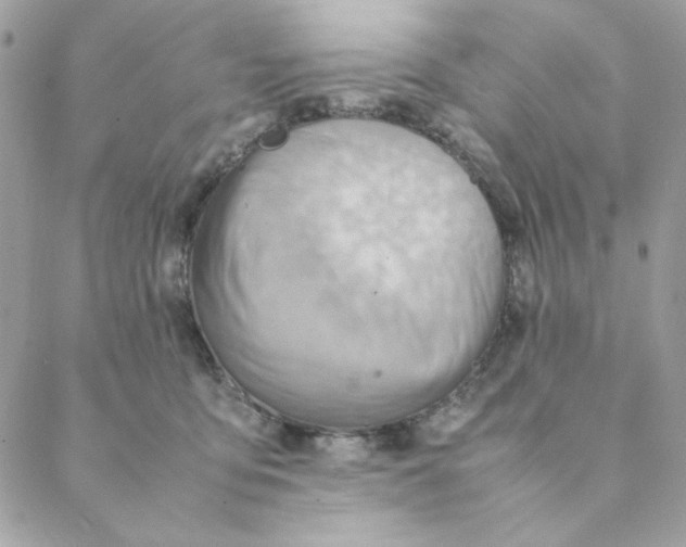 X0000088580419200706151716