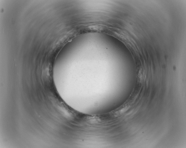 X0000088580424200706151716