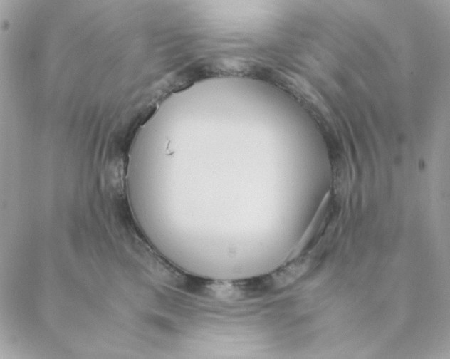 X0000088580425200706151716