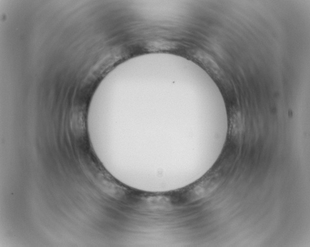 X0000088580426200706151716