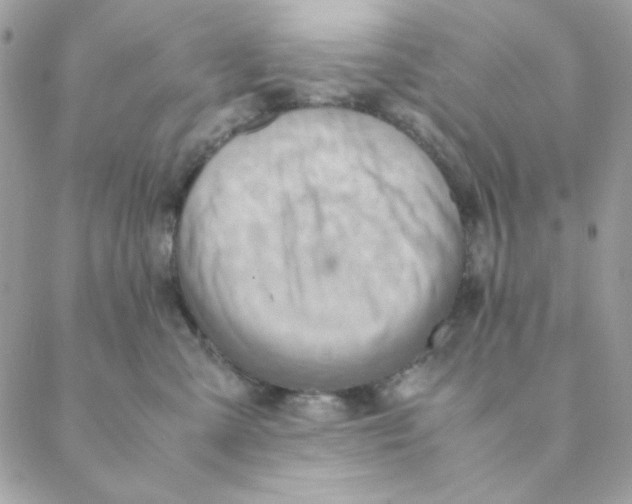 X0000088580427200706151716