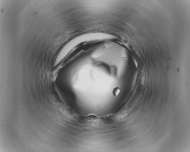 X0000088580428200706151716