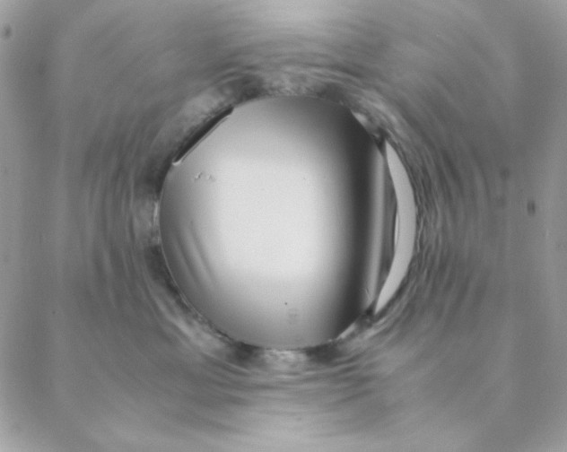 X0000088580429200706151716