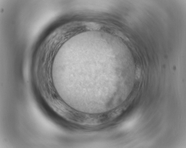 X0000088580431200706151716