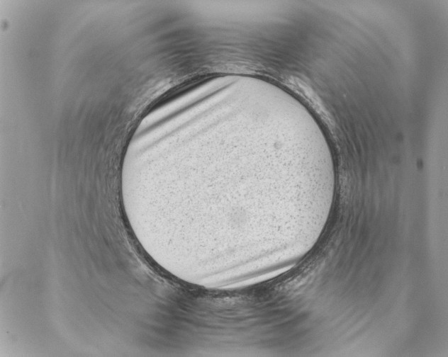 X0000088580433200706151715