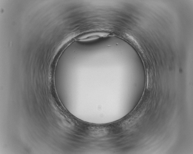 X0000088580435200706151715