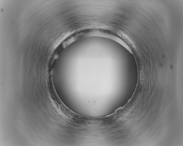 X0000088580436200706151715