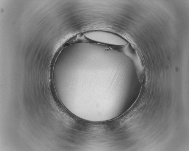 X0000088580438200706151715