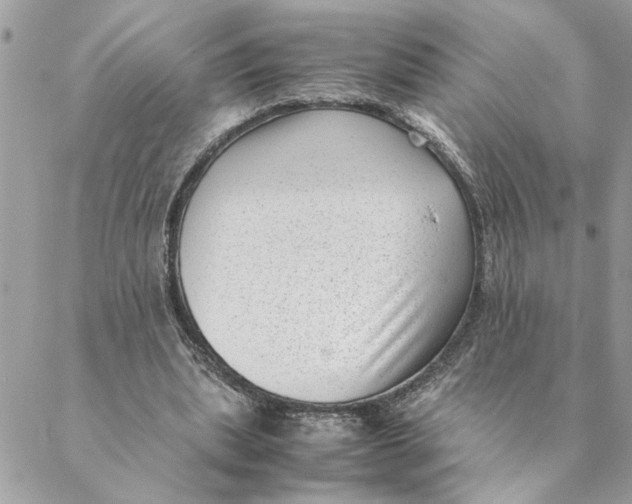 X0000088580439200706151715