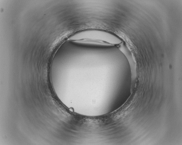 X0000088580442200706151715