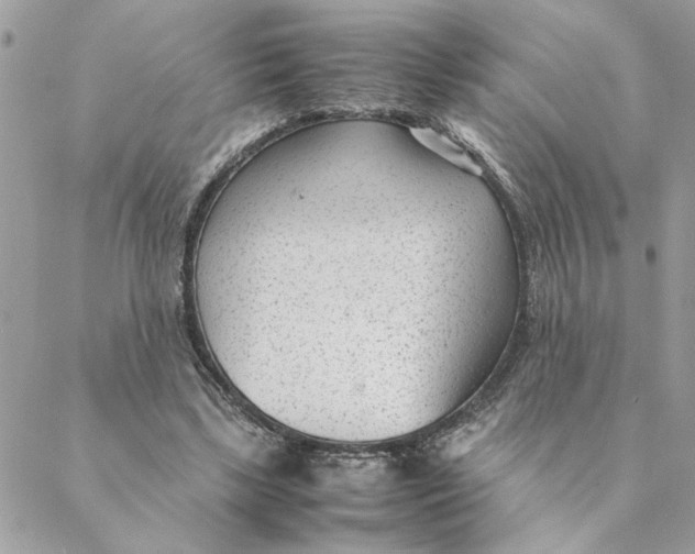 X0000088580443200706151715