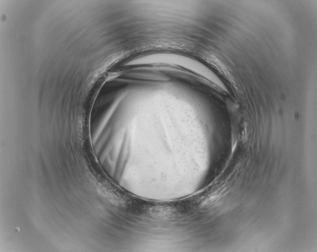 X0000088580444200706151715