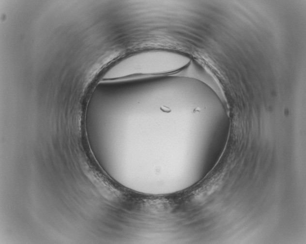 X0000088580446200706151715