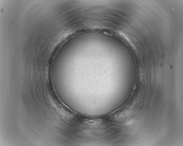 X0000088580447200706151715