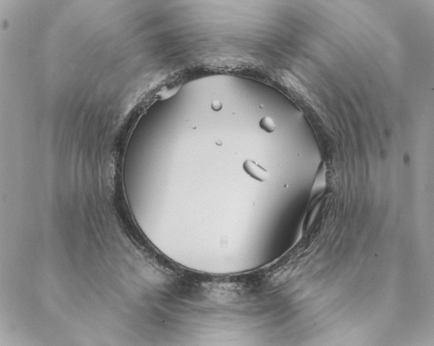 X0000088580448200706151715