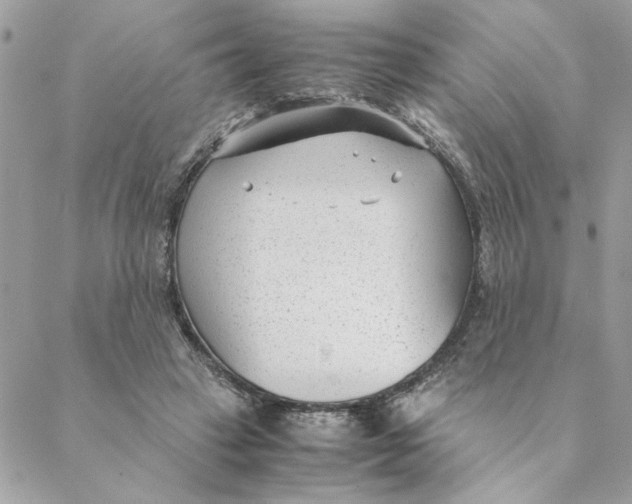 X0000088580449200706151715