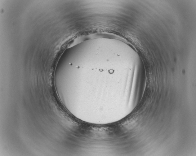 X0000088580450200706151715