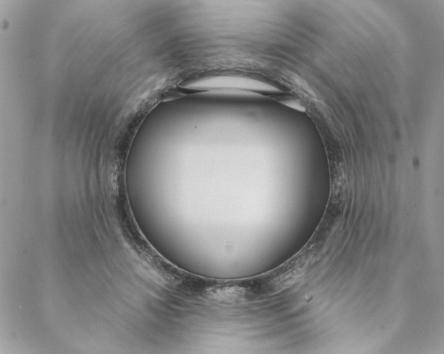 X0000088580452200706151715