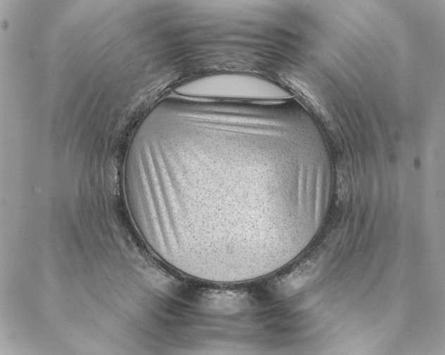 X0000088580453200706151715