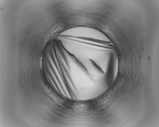 X0000088580454200706151715