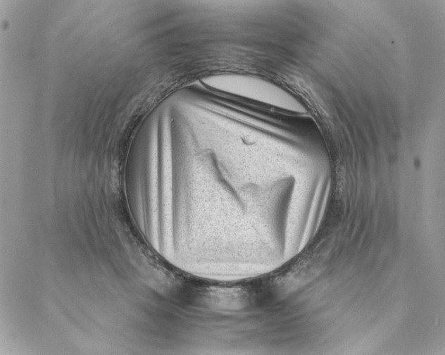 X0000088580457200706151716