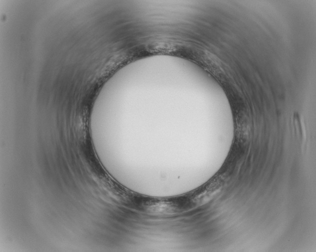 X0000088580460200706151716