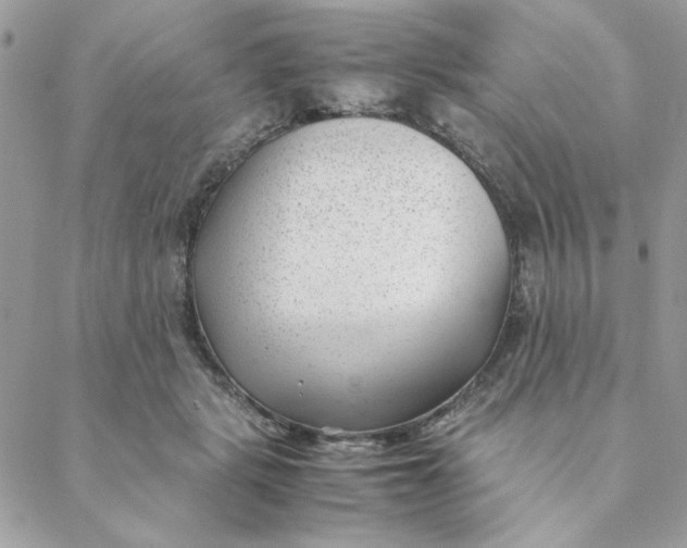 X0000088580461200706151716