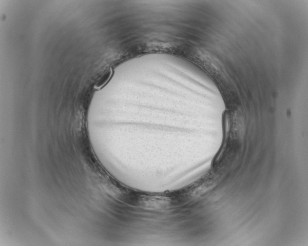 X0000088580463200706151716