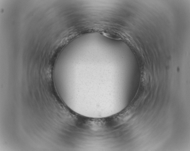 X0000088580466200706151716