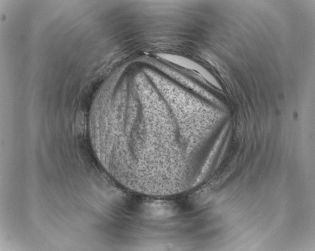 X0000088580467200706151716