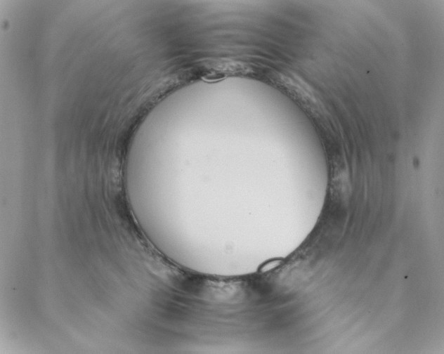 X0000088580469200706151716