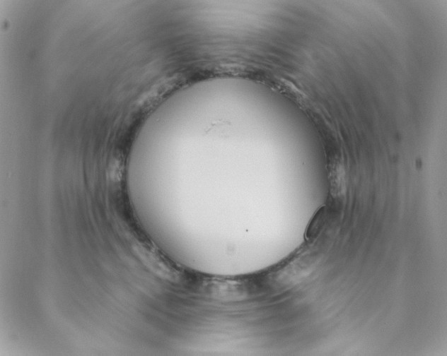 X0000088580472200706151716