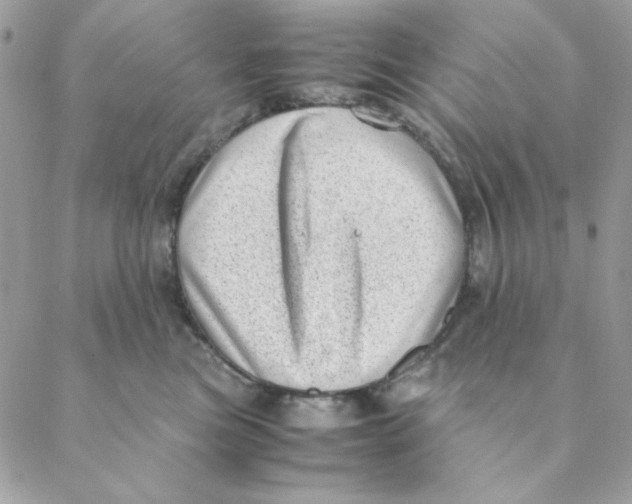 X0000088580473200706151716