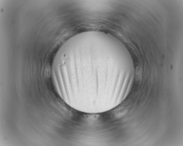 X0000088580474200706151716