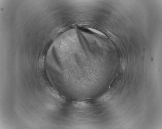 X0000088580475200706151716