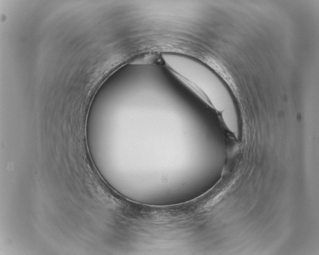 X0000088580481200706151715