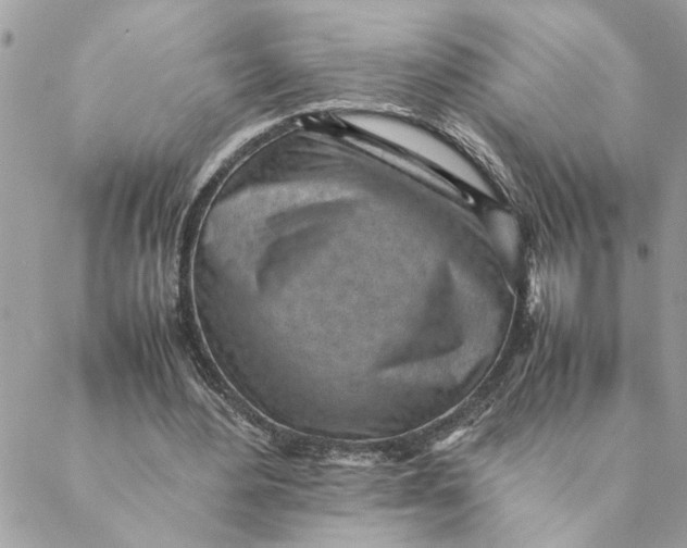 X0000088580484200706151715