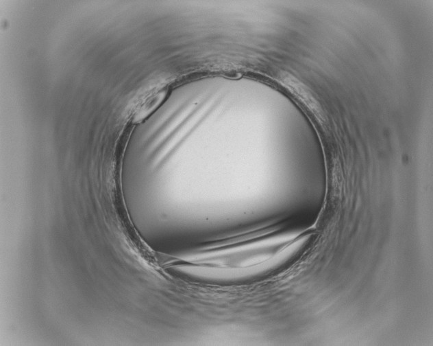 X0000088580485200706151715