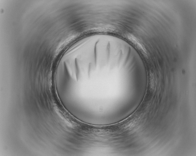 X0000088580486200706151715