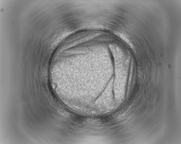 X0000088580487200706151715